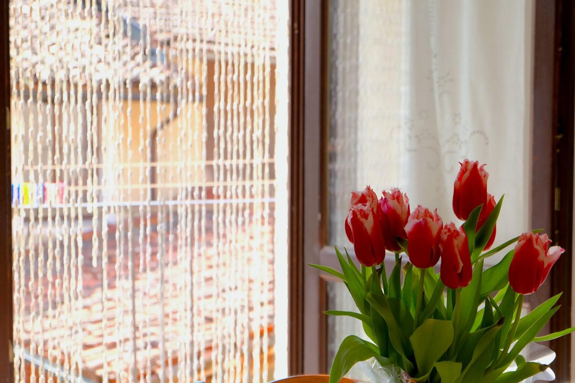 Aparthotel La Ghiacciaia Verzuolo Exteriér fotografie